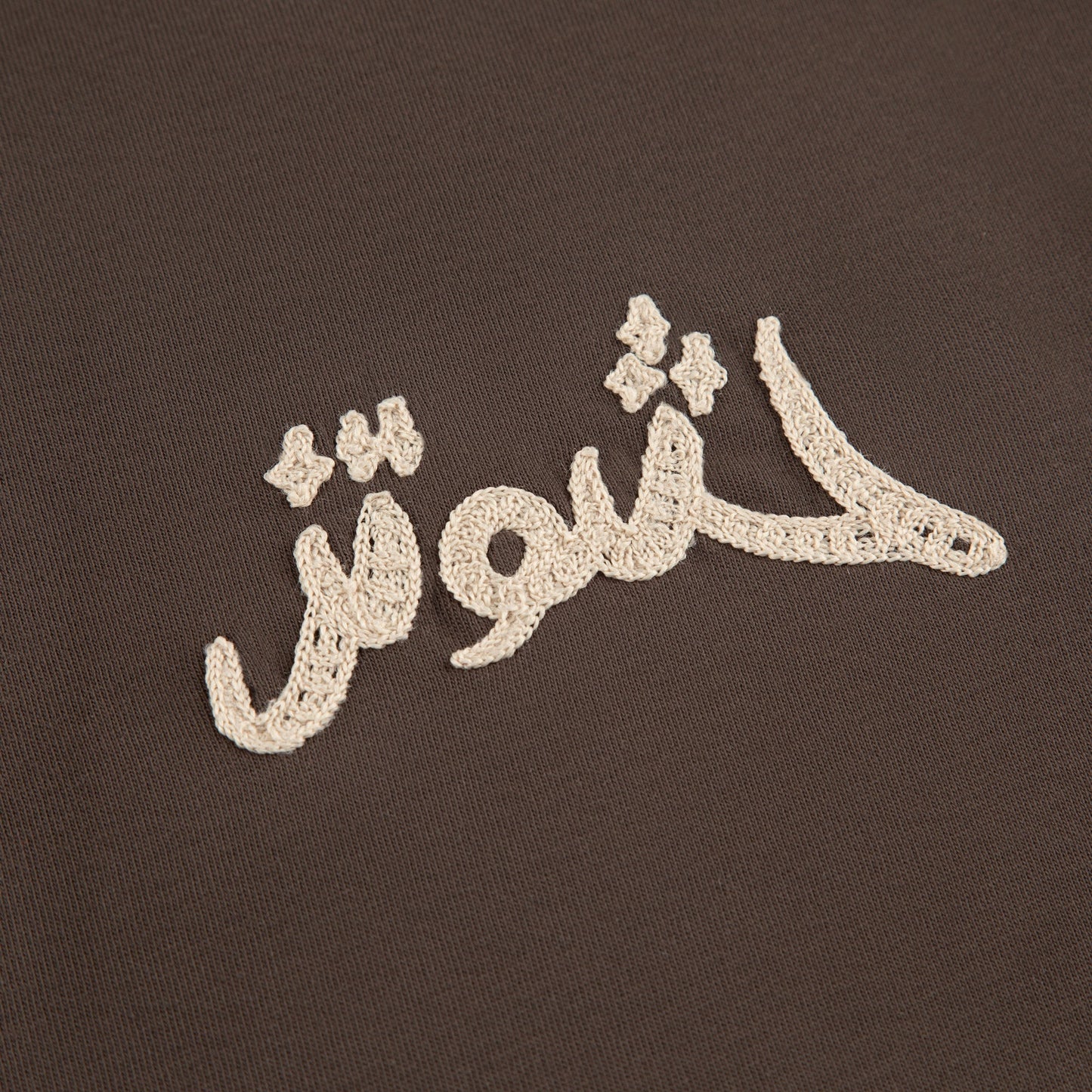 "yasmin v3" T Shirt coffee