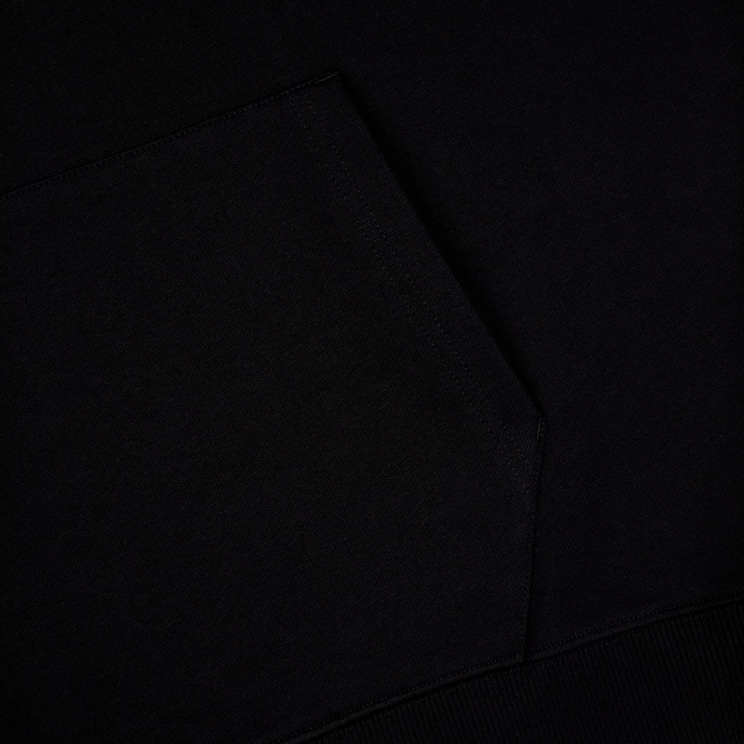 "garden of eden v2" Hoodie